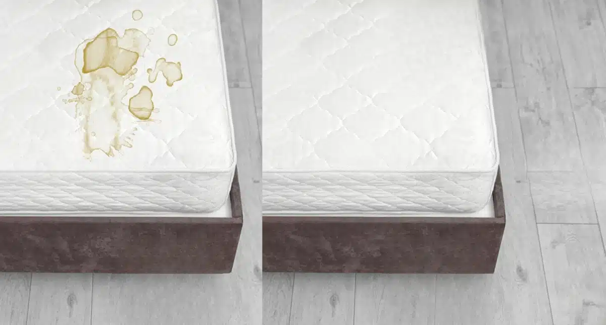 Professional Mattress steam Cleaning in Calgary